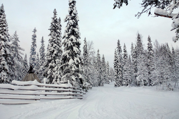 Oulanka National Park (purplespace / Flickr)