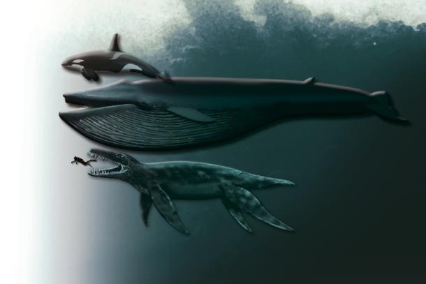 pliosaur funkei