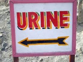 urine sign